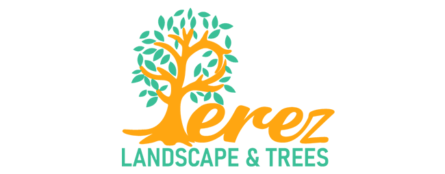 Perez Landscape and Tree service