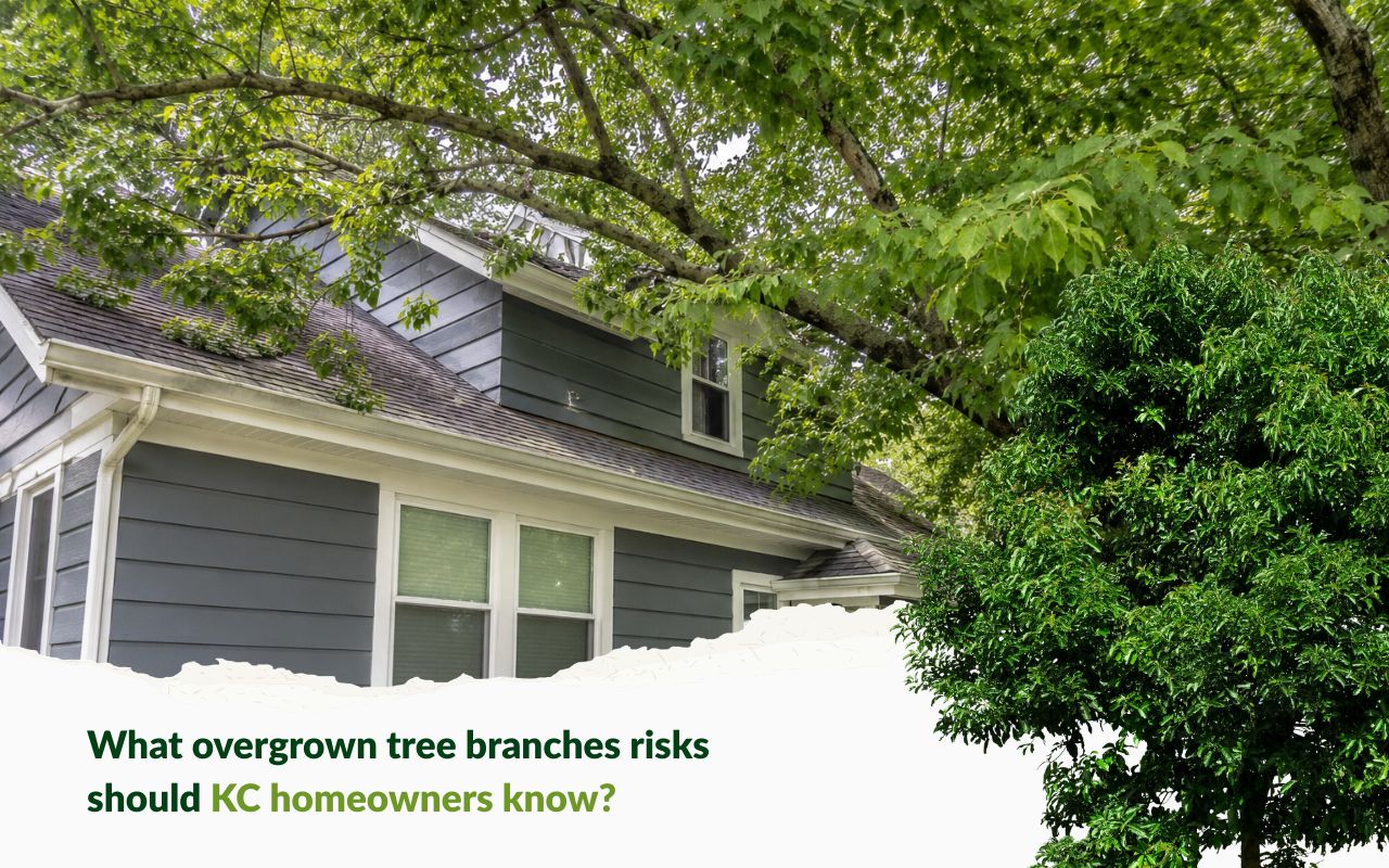 Overgrown tree branches risks near a Kansas City home