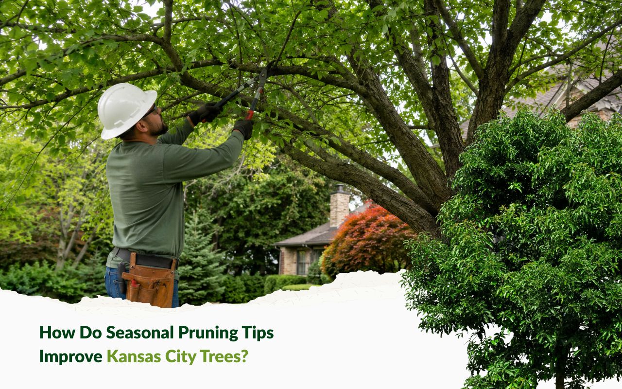 seasonal pruning tips for Kansas City trees in a healthy yard