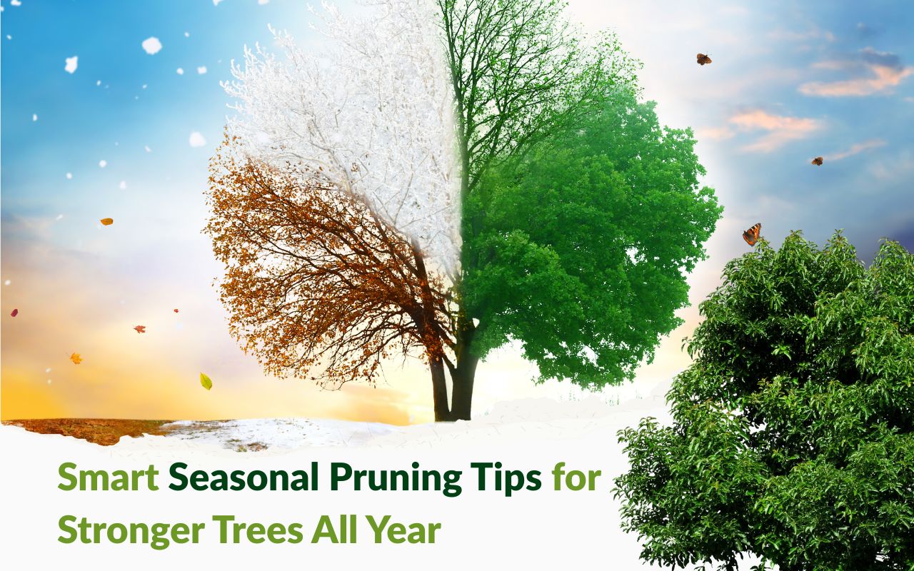 Homeowner trimming tree in spring for seasonal care