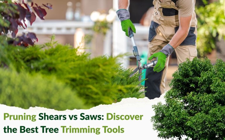 Pruning Shears vs Saws: Best Tree Trimming Tools for Your Garden