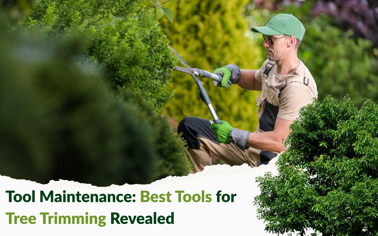Pruning tools neatly arranged for maintenance