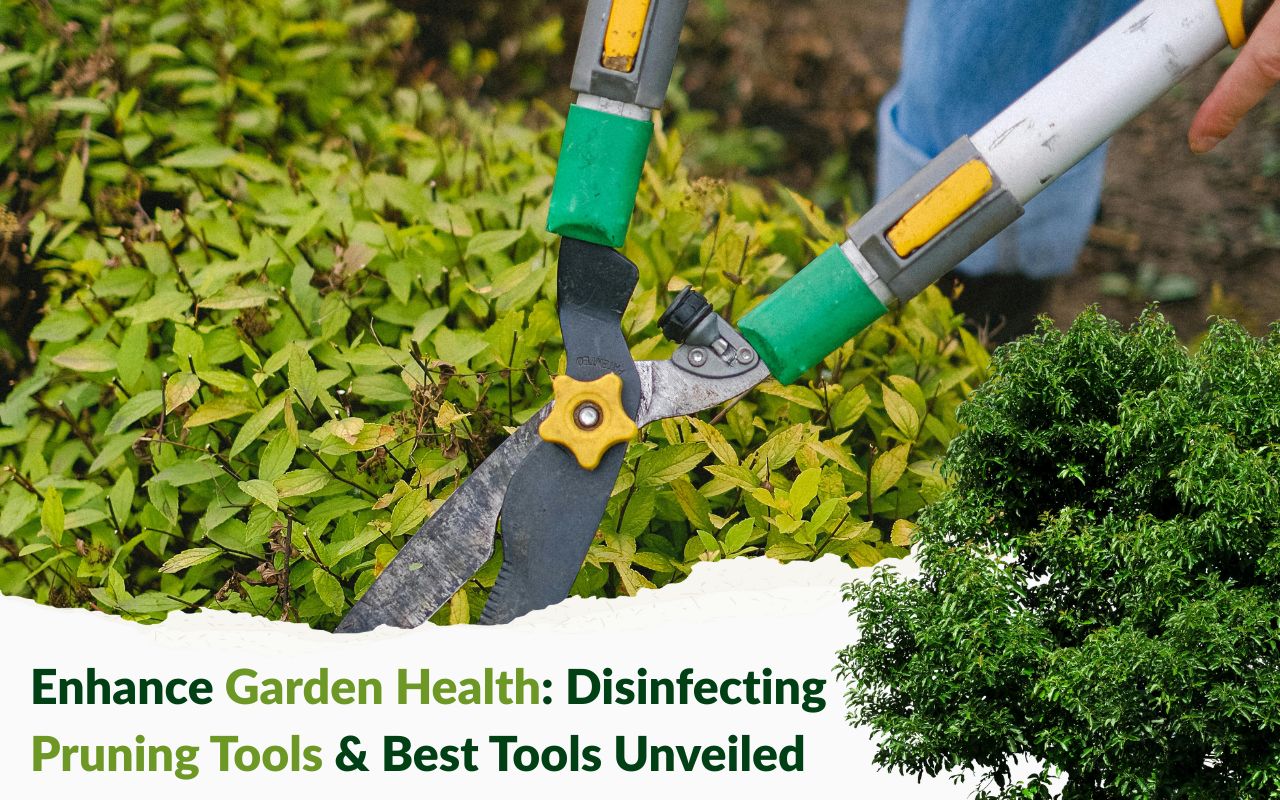 High-quality pruning tools including bypass pruners and loppers