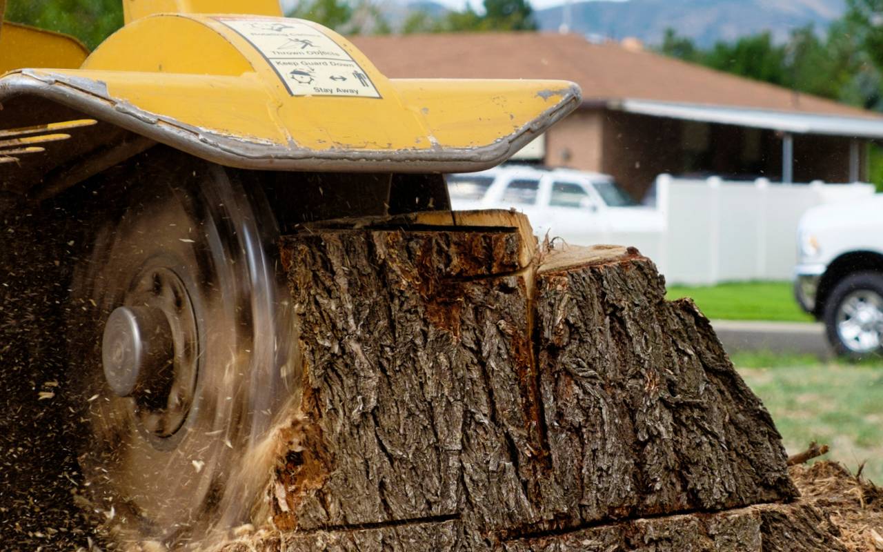 Permits required in the city inspection process
