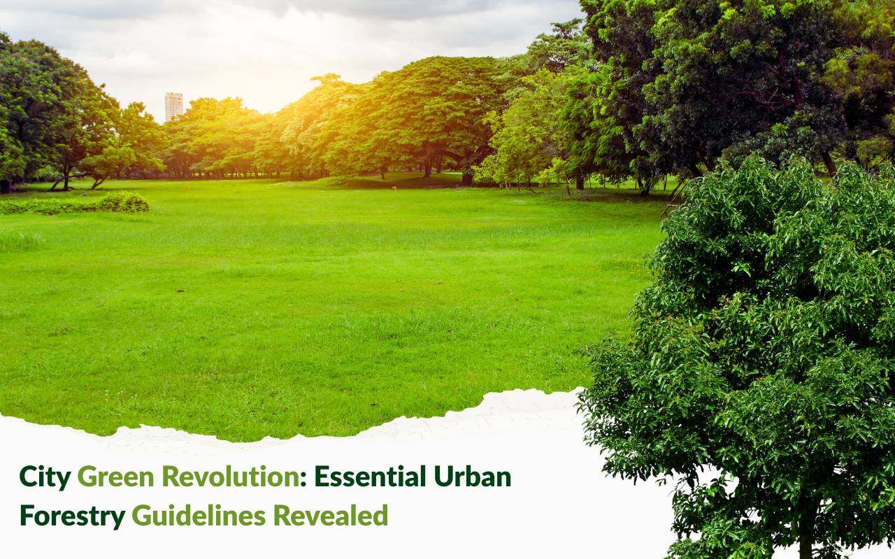 Tree planting techniques following urban forestry guidelines