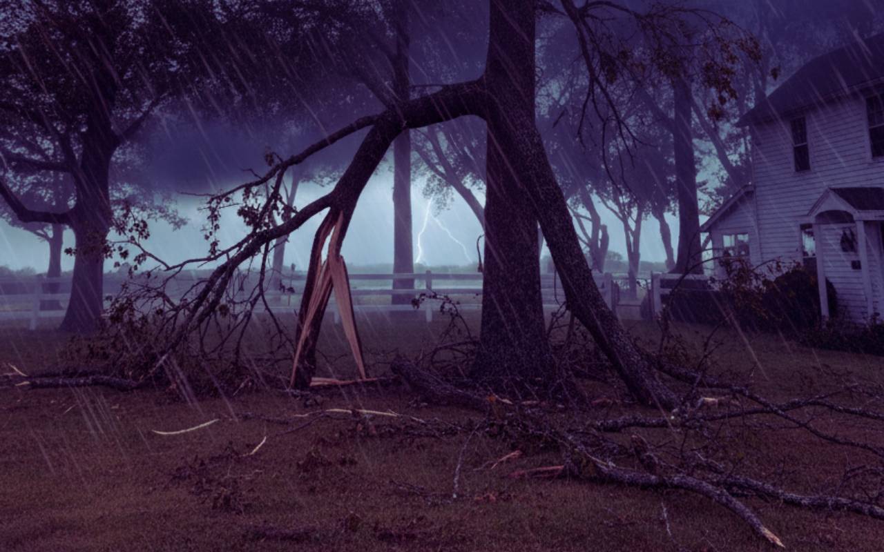 Broken limb hazards and damaged tree branches after a storm