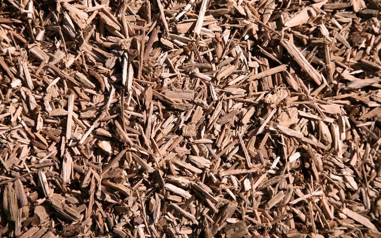Organic bark mulch insulation using Mulching Techniques to Protect Trees in Cold Weather