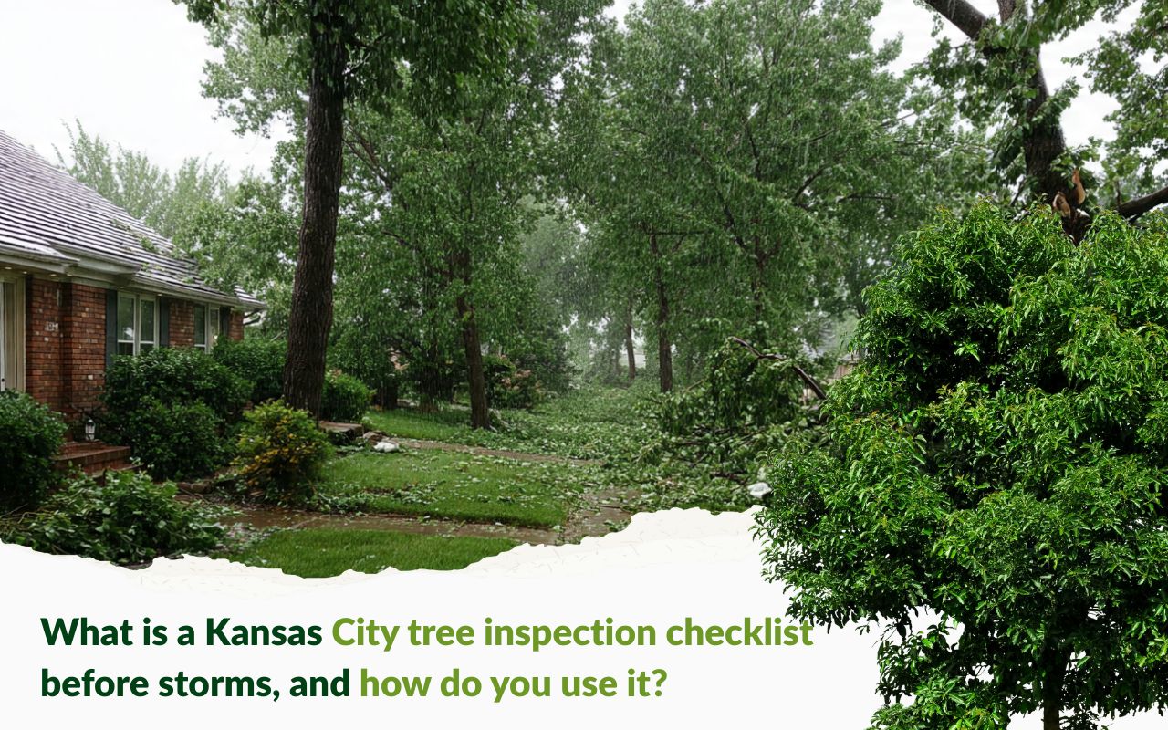 Kansas City tree inspection checklist before storms for homeowners