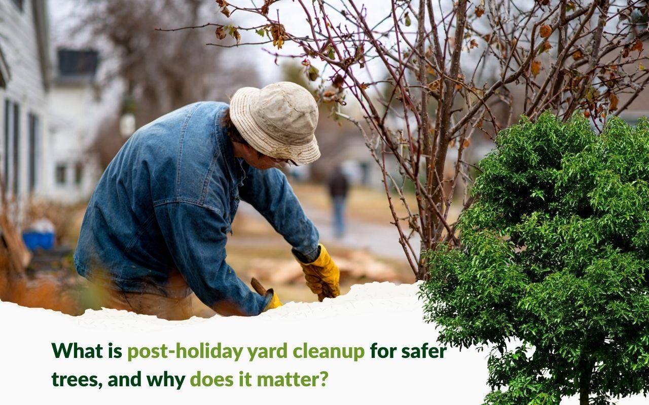 Post-holiday yard cleanup for safer trees checklist in Kansas City yard