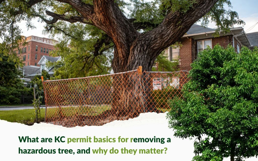 KC Permit Basics for Removing a Hazardous Tree