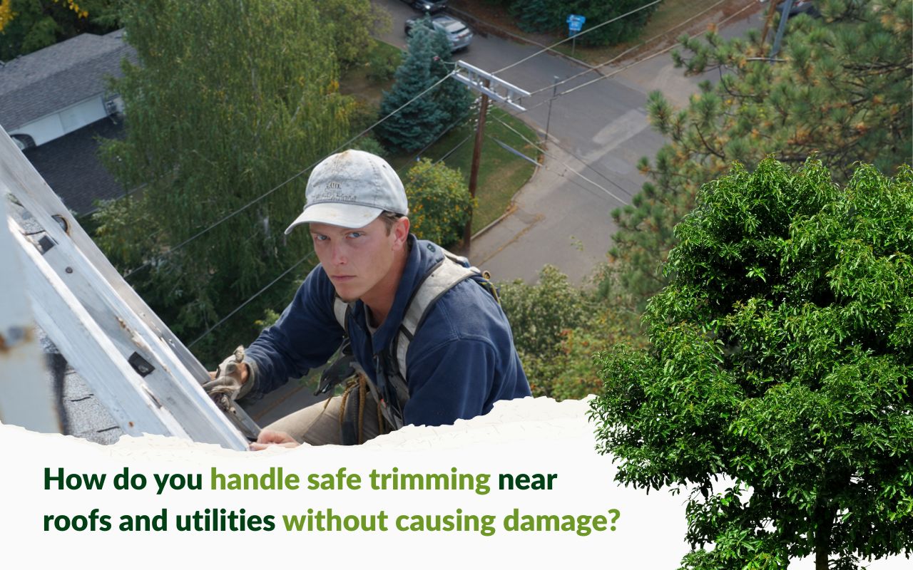 Safe trimming near roofs and utilities to protect roof edges