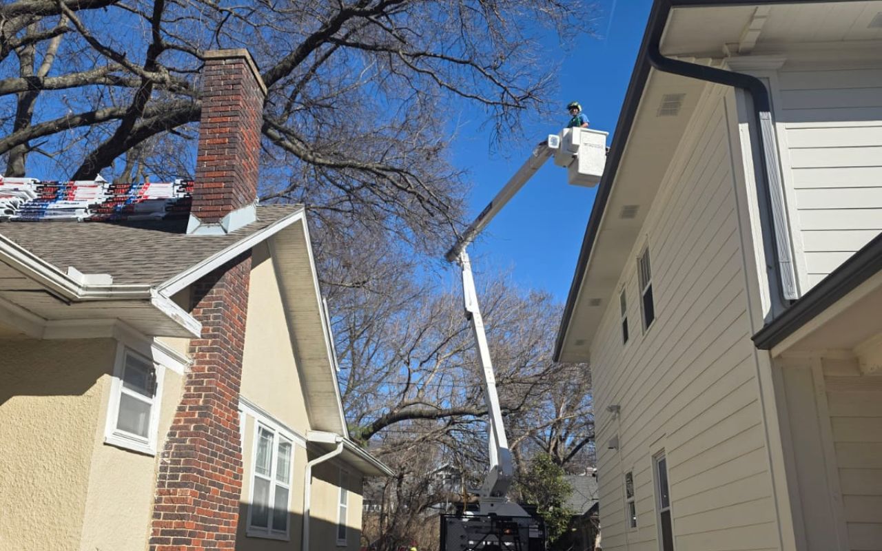 Blue Springs tree care checklist for early tree inspection