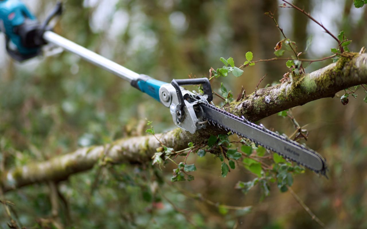 Grandview DIY pruning tool for small jobs with pruning shears