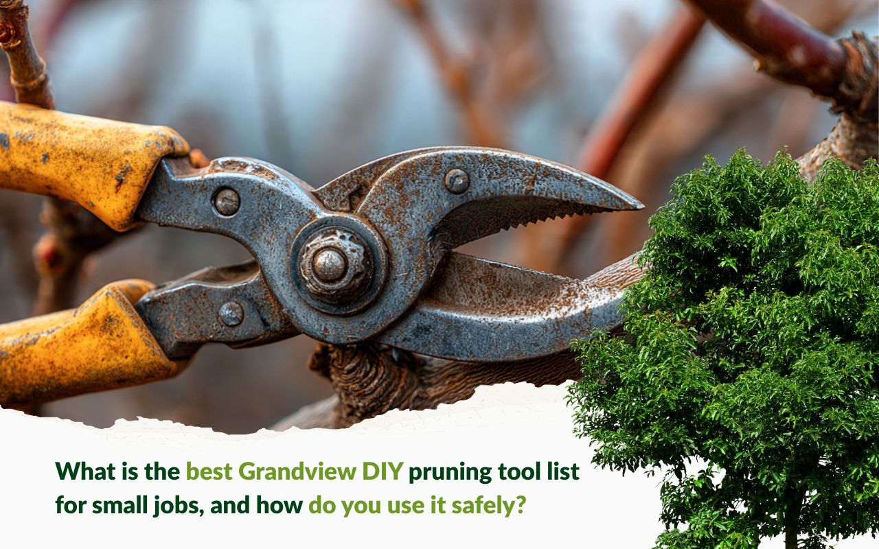 Grandview DIY pruning tool for small jobs with pruning shears
