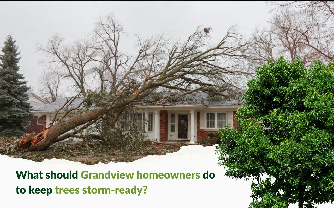 Weak branch union signs in the Grandview homeowner guide to storm-ready trees