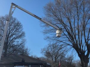 Perezlandscape gallery 06 03 2026 1