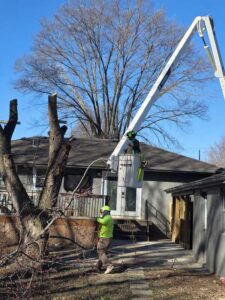 Perezlandscape gallery 06 03 2026 10