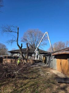 Perezlandscape gallery 06 03 2026 12