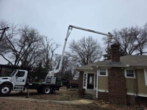 Perezlandscape gallery 06 03 2026 3