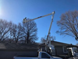 Perezlandscape gallery 06 03 2026 6