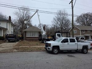 Perezlandscape gallery 06 03 2026 7