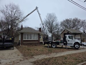 Perezlandscape gallery 06 03 2026 9