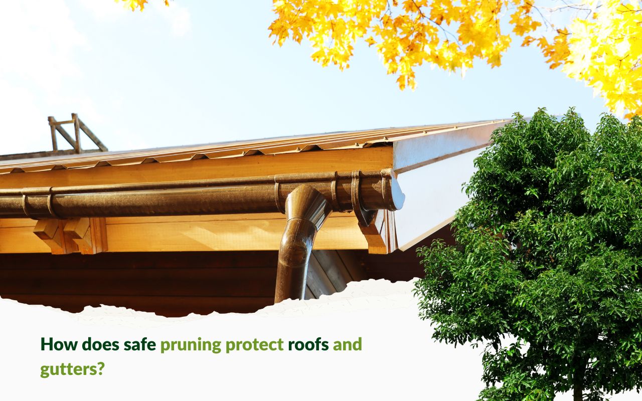 Kansas City safe pruning around rooftops & gutters near a residential roofline