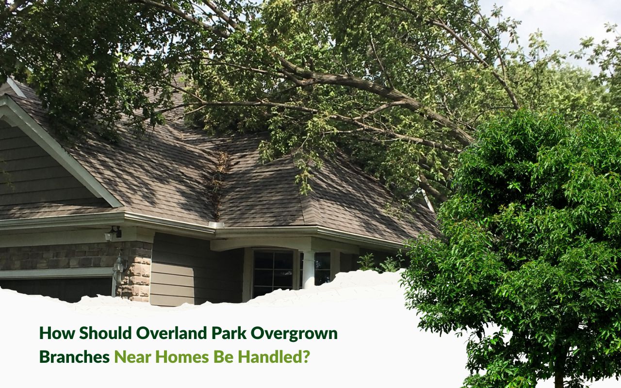 Overland Park overgrown branches near homes touching a roofline