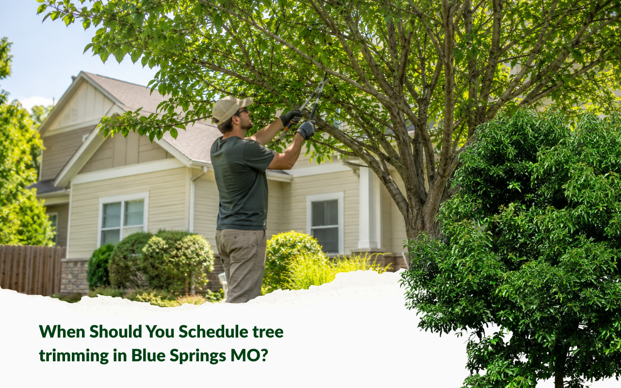 tree trimming Blue Springs MO summer canopy care near a home