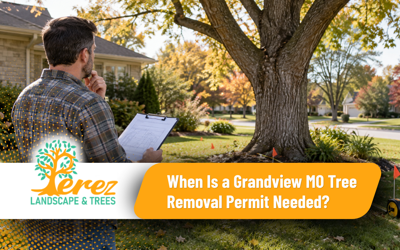 Grandview MO tree removal permit checklist for homeowners