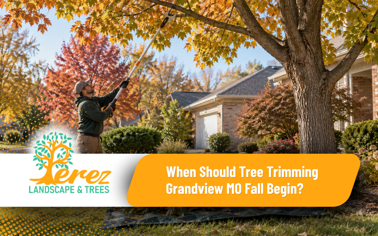 tree trimming Grandview MO fall for a clean residential yard