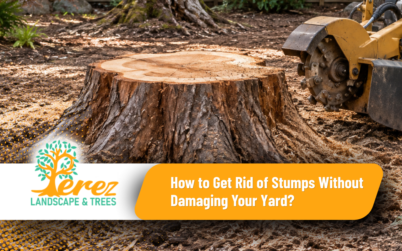 Comparison of stump grinding, excavation, natural decay, and burning limitations